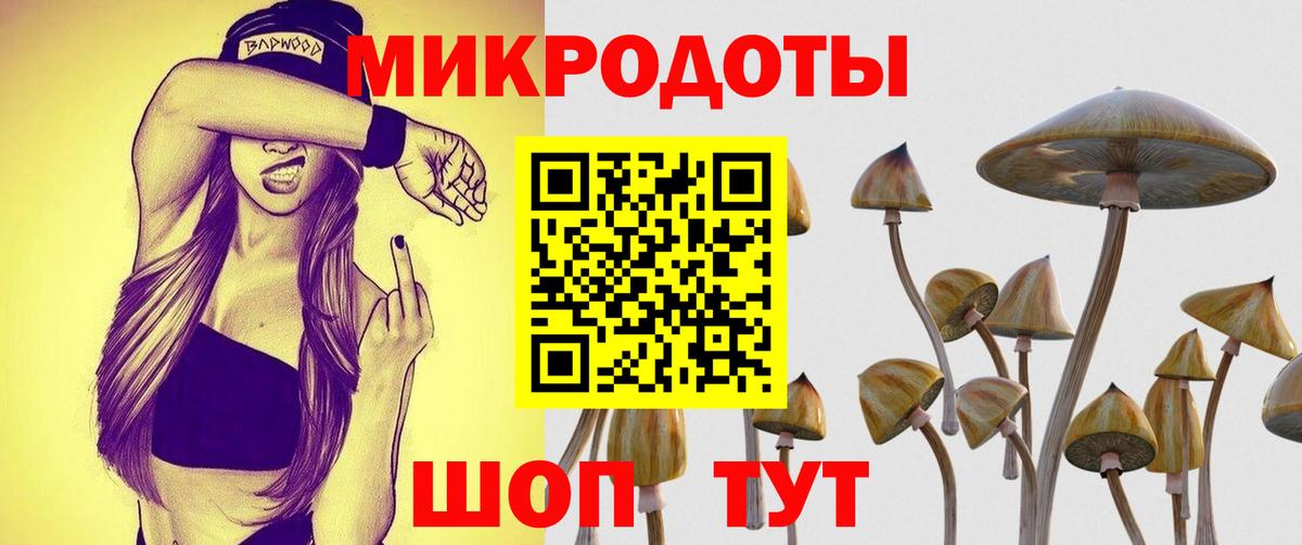 Псилоцибиновые грибы GOLDEN TEACHER Татарск
